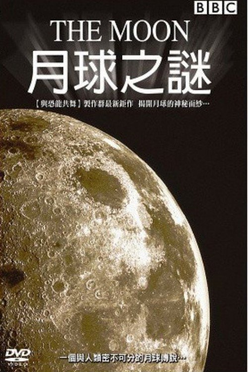 Постер The Moon